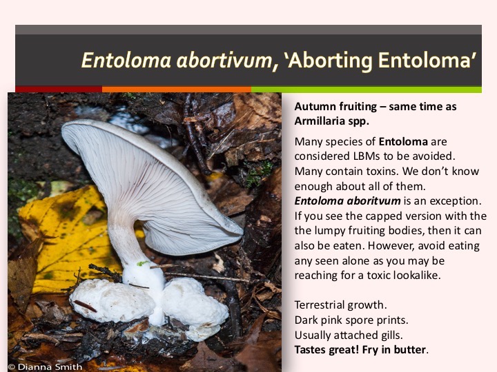 Slide067
