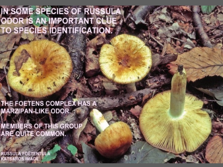 Slide067