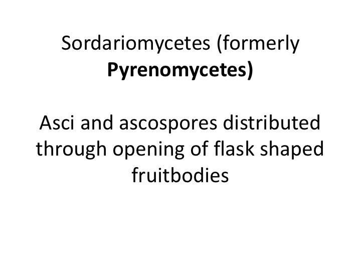 Slide070