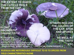 Slide070