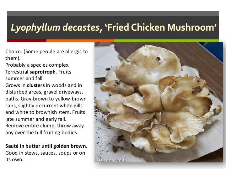 Slide078