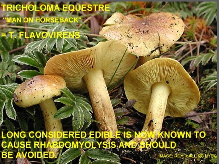 Slide081