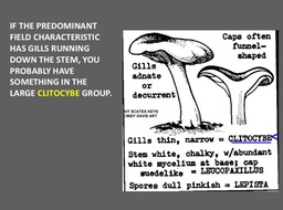 Slide084