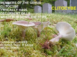 Slide085