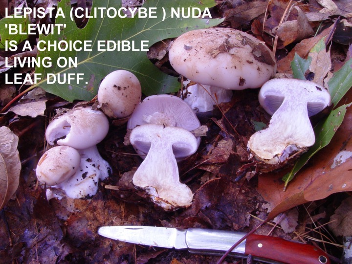 Slide087