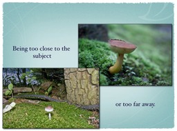 Slide09