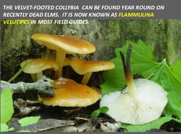 Slide093