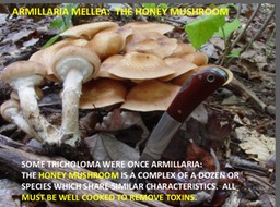 Slide095