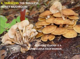 Slide097
