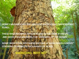 Slide098