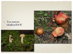 Slide10
