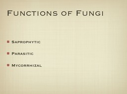 Slide10