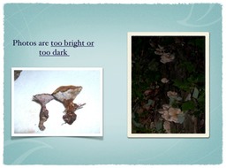 Slide11
