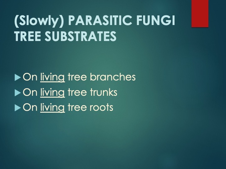 Slide11