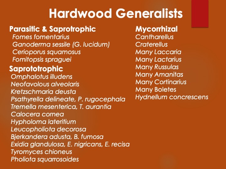 Slide114