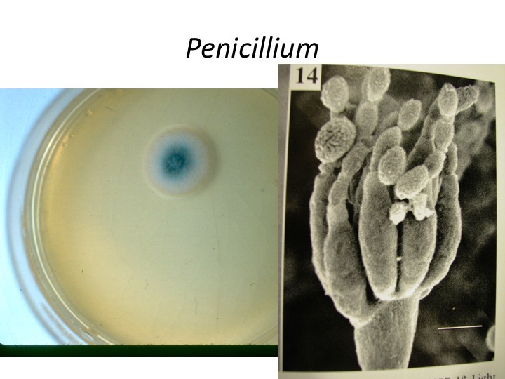 Slide119