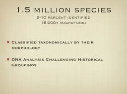 Slide11
