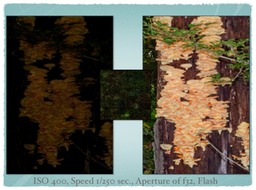 Slide12