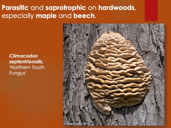 Slide120