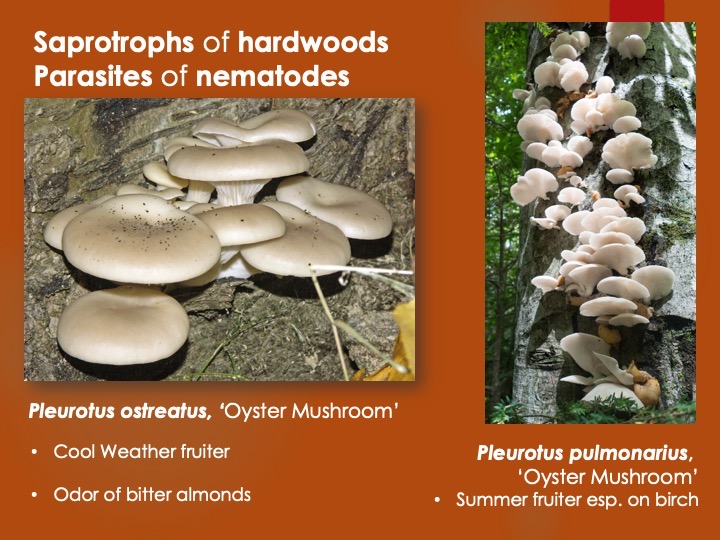 Slide125