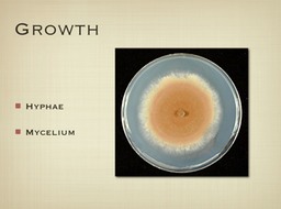 Slide12