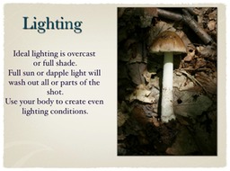 Slide13
