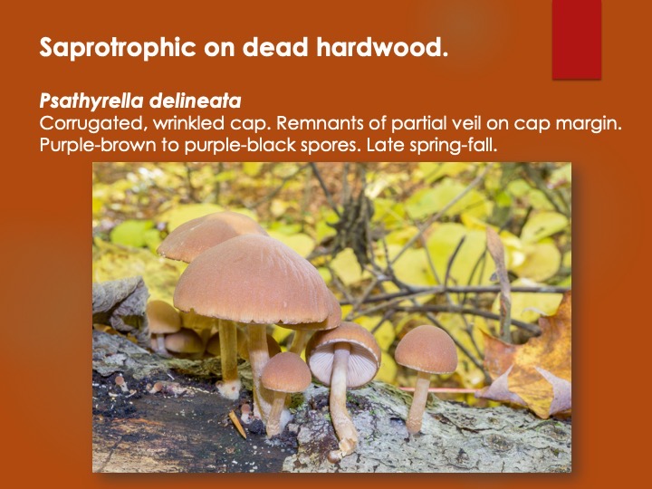 Slide132