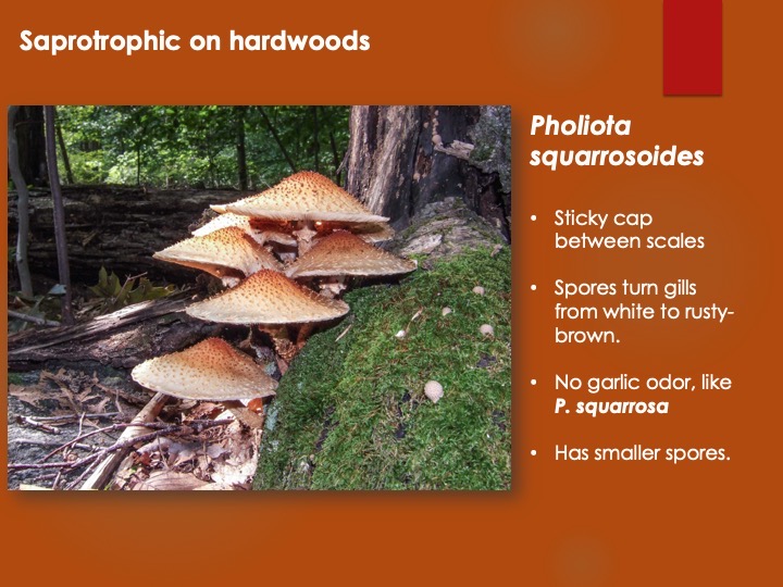 Slide136