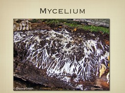 Slide13