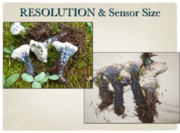 Slide14