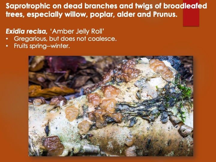 Slide140