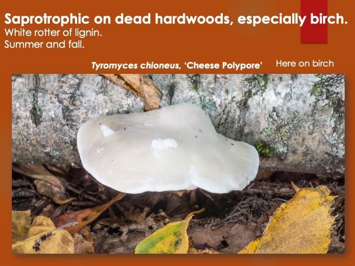 Slide141
