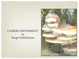 Slide15
