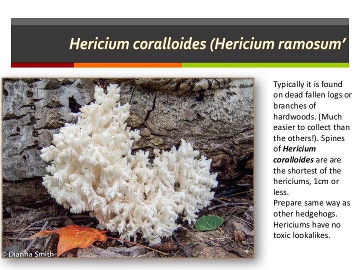 Slide167