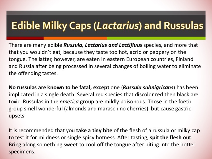 Slide168