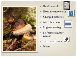 Slide17