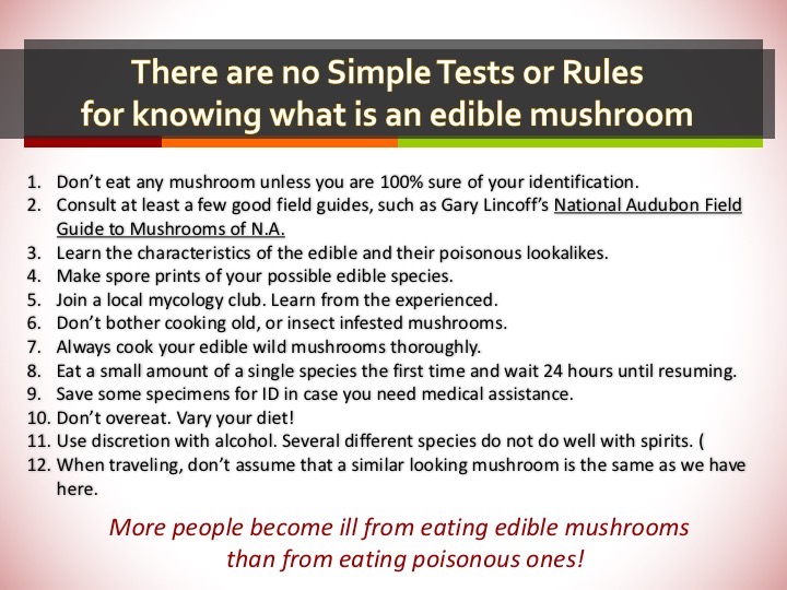 Slide178