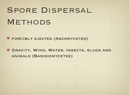 Slide17