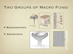 Slide20