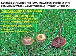 Slide21