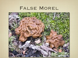 Slide25
