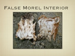 Slide26