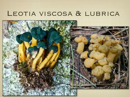 Slide27