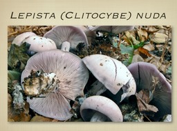 Slide28
