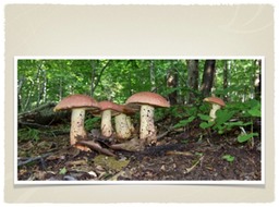 Slide28