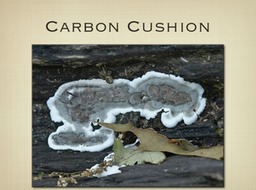 Slide28