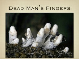 Slide29