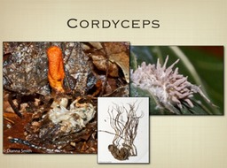 Slide30