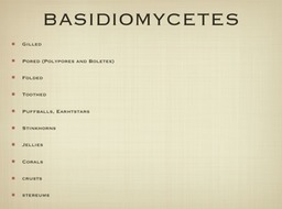 Slide31