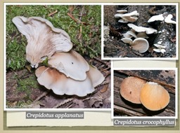 Slide32